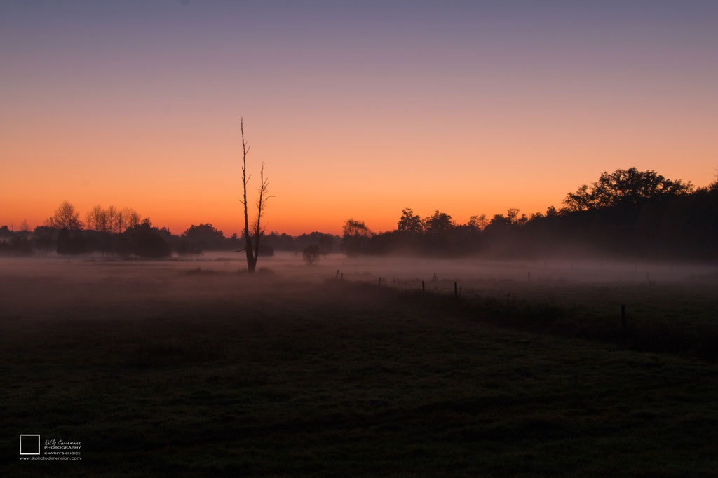 Opgaande zon in de herfst met een weidelandschap en op de verre achtergrond  een bos.