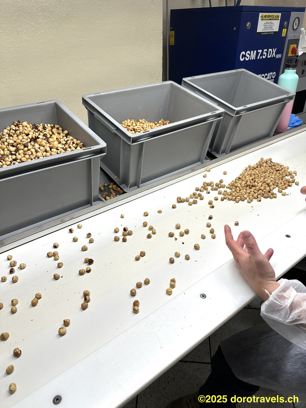 SORTING OF THE NUTS BEING DEMONSTRATED DURING THE TOUR