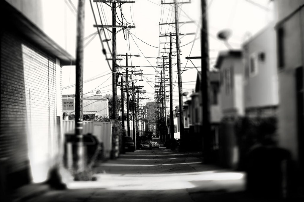 MELROSE STREETS