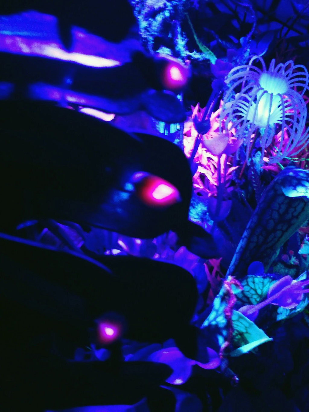 Avatar Pandora Diorama