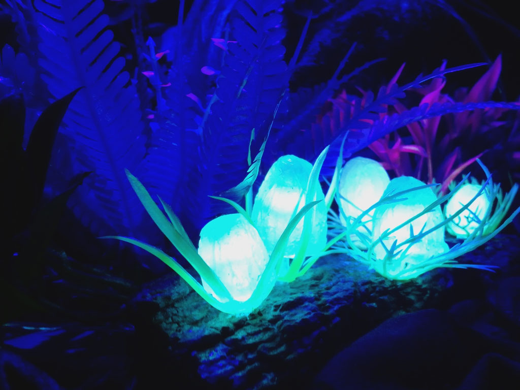 Avatar Pandora Diorama