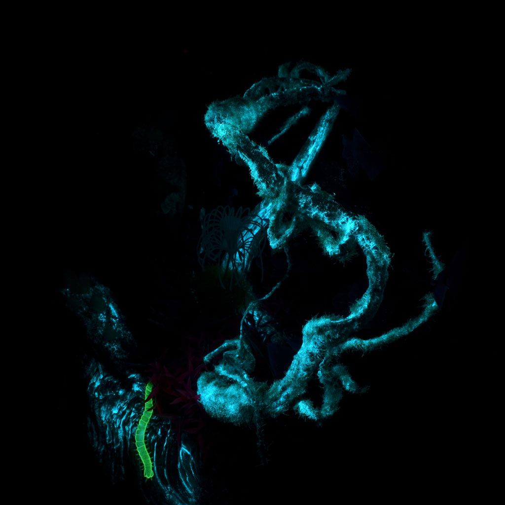 Avatar Pandora Diorama Glow In The Dark