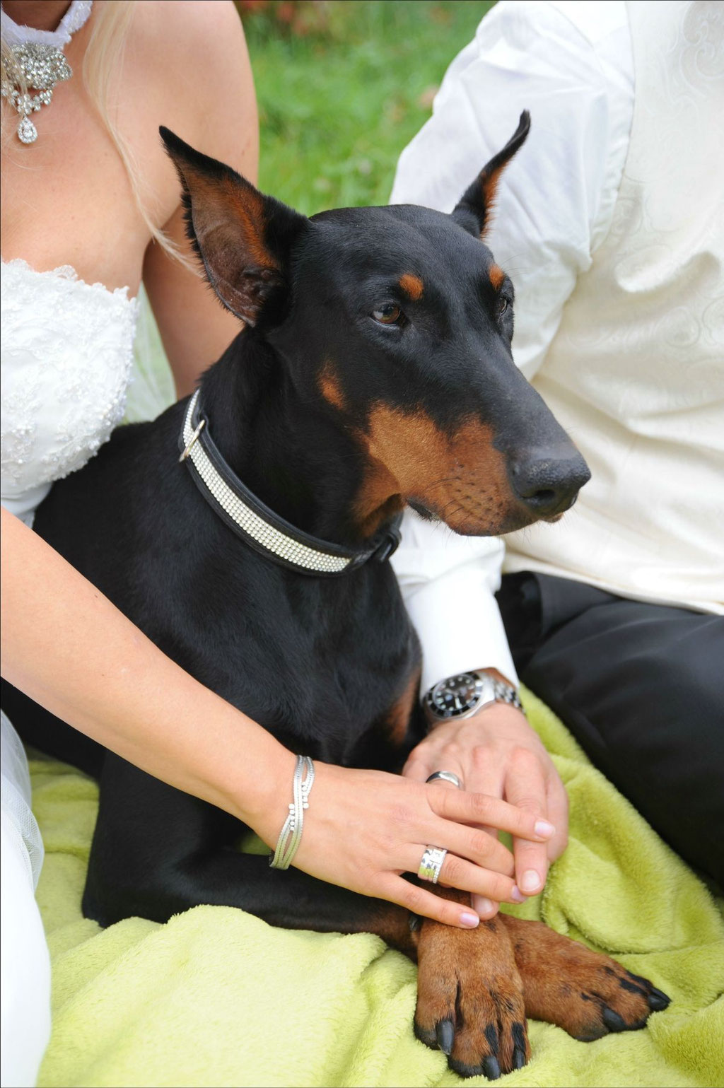 Champagner beim Paarshooting mit Dobermann am Landhotel Voshövel