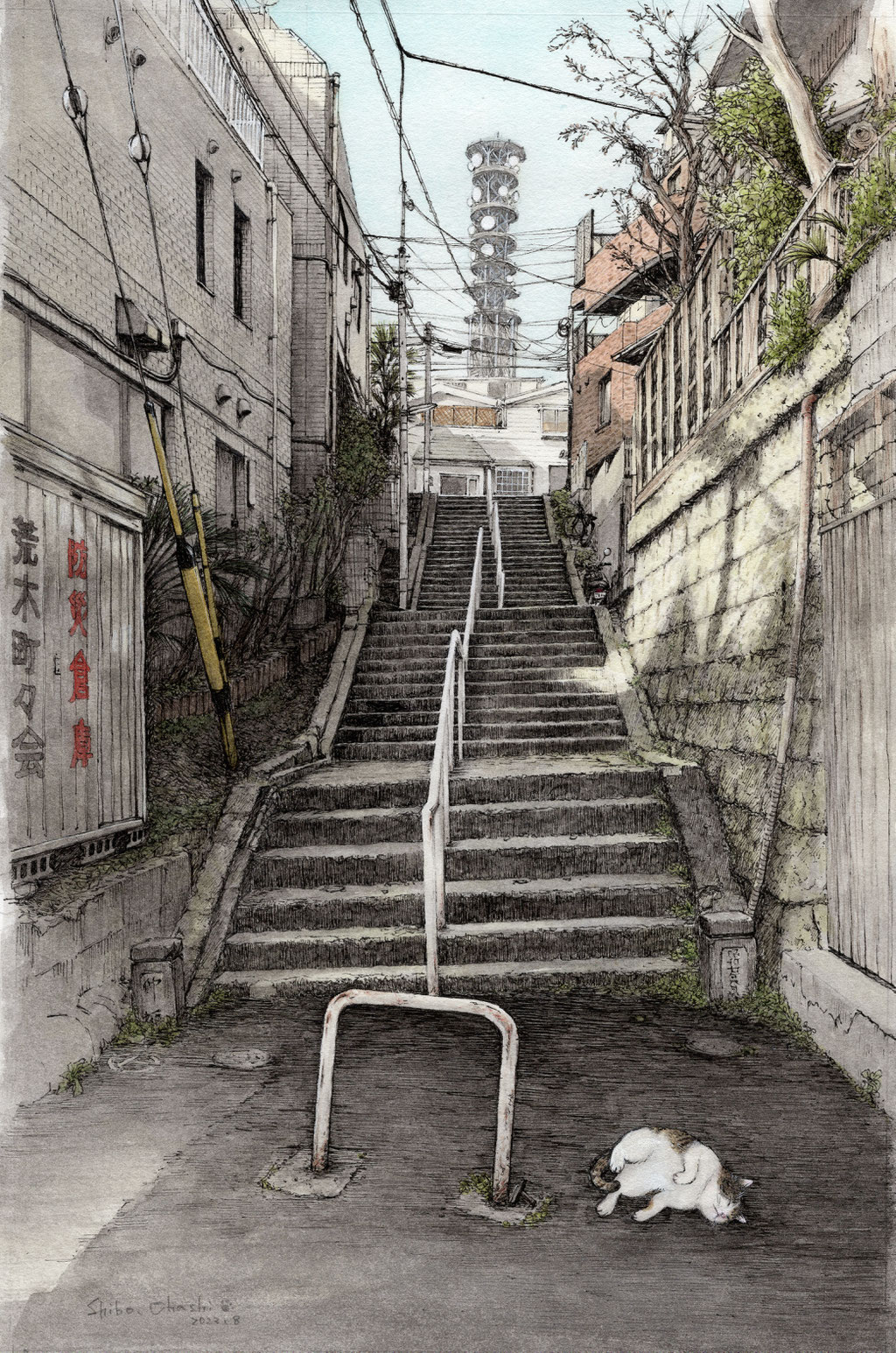 2023.8仲坂の階段と三毛猫