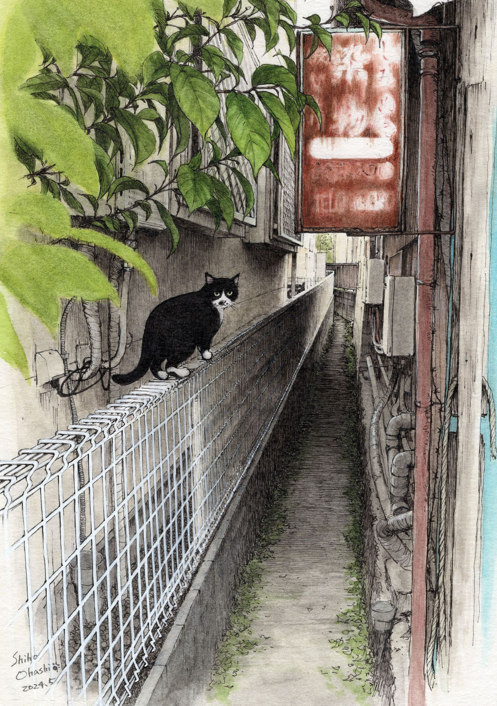 2024.5細暗渠の染物看板と猫