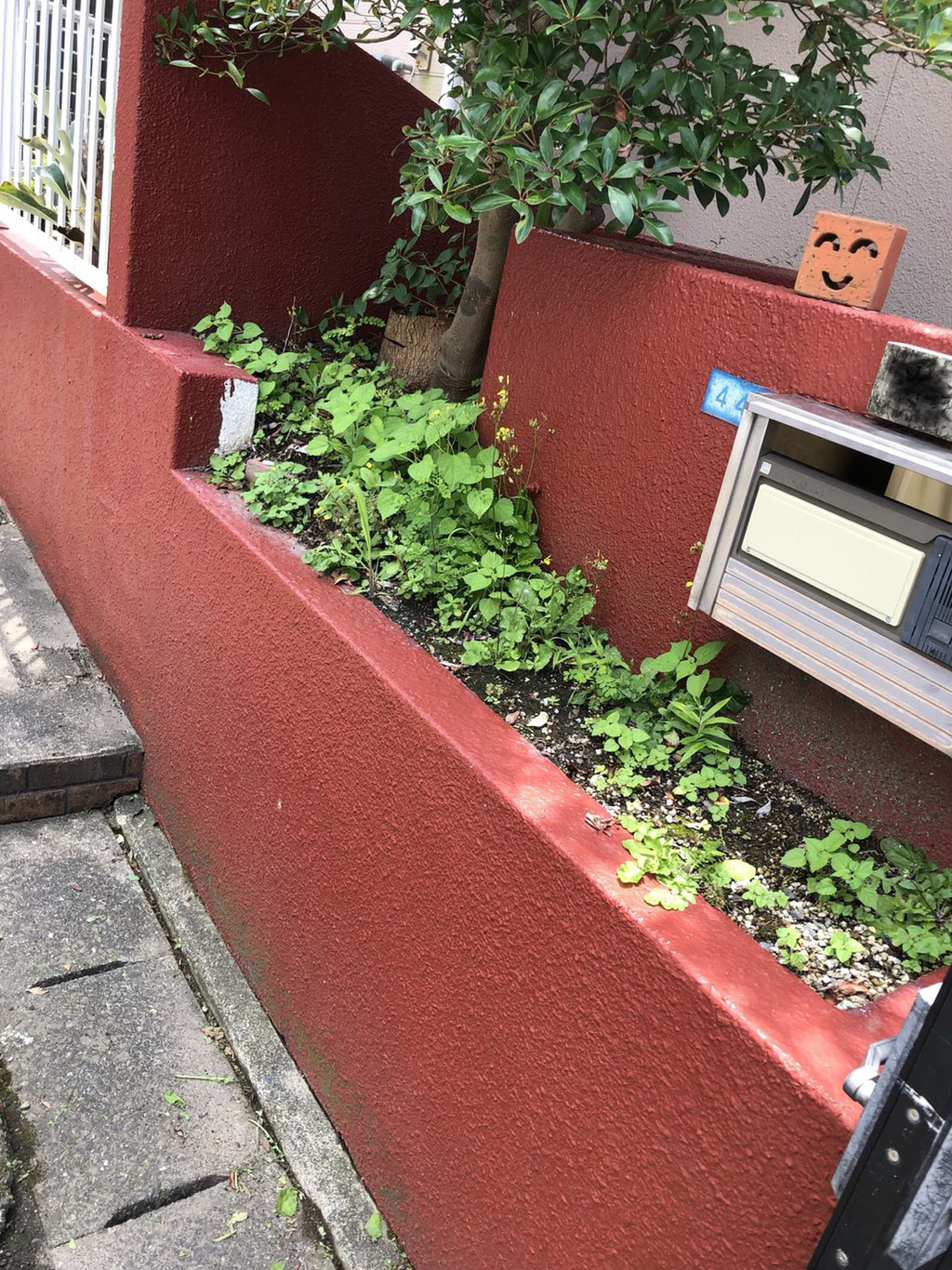 庭のお手入れ19年7月③Before