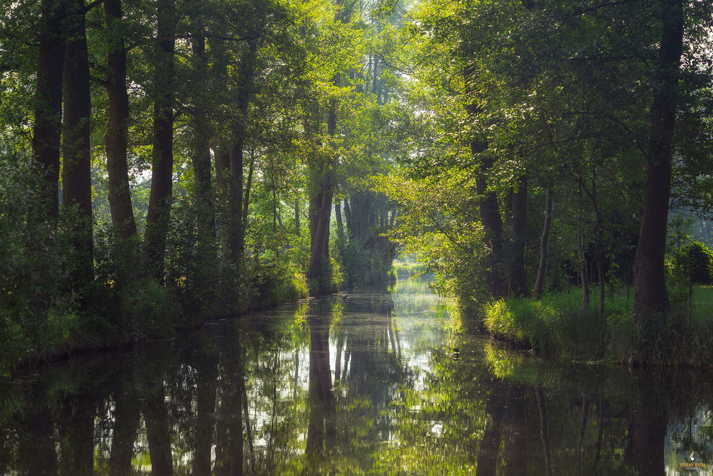 Spreewaldidylle bei Lübben