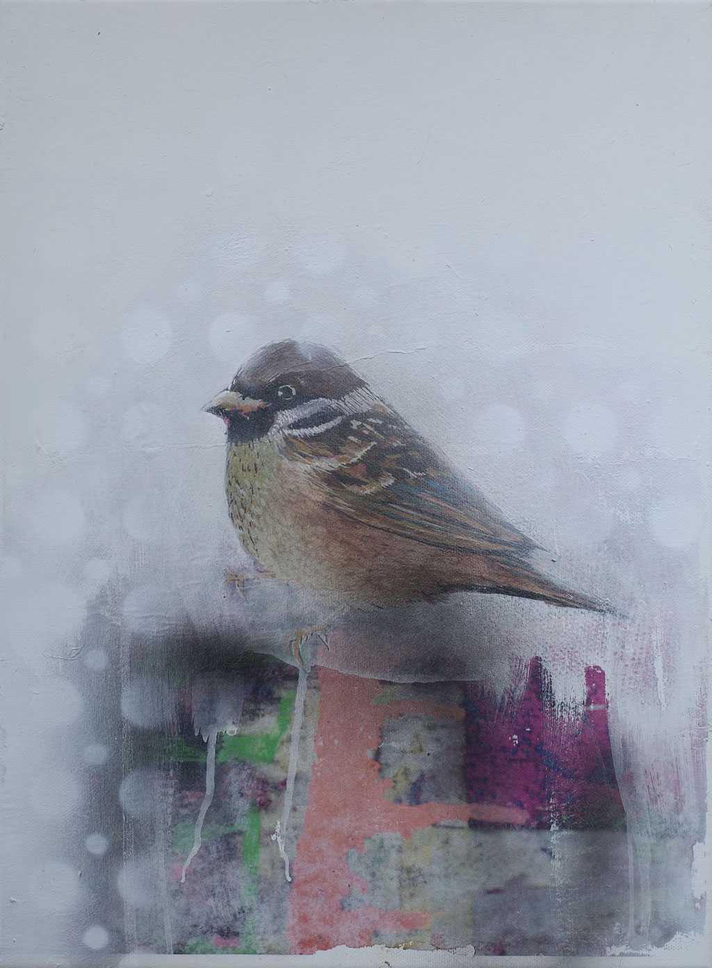 "Citybird IV" - Acryl, Lack, Leinwand - 40cm x 30cm - 2019