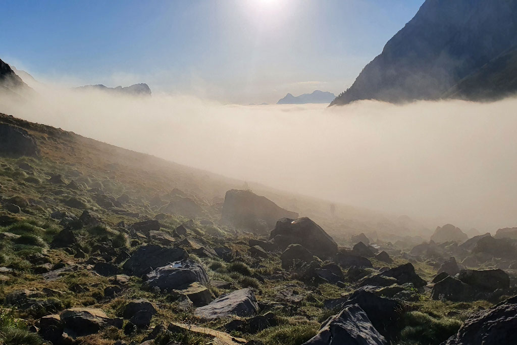 eintauchen in den Nebel