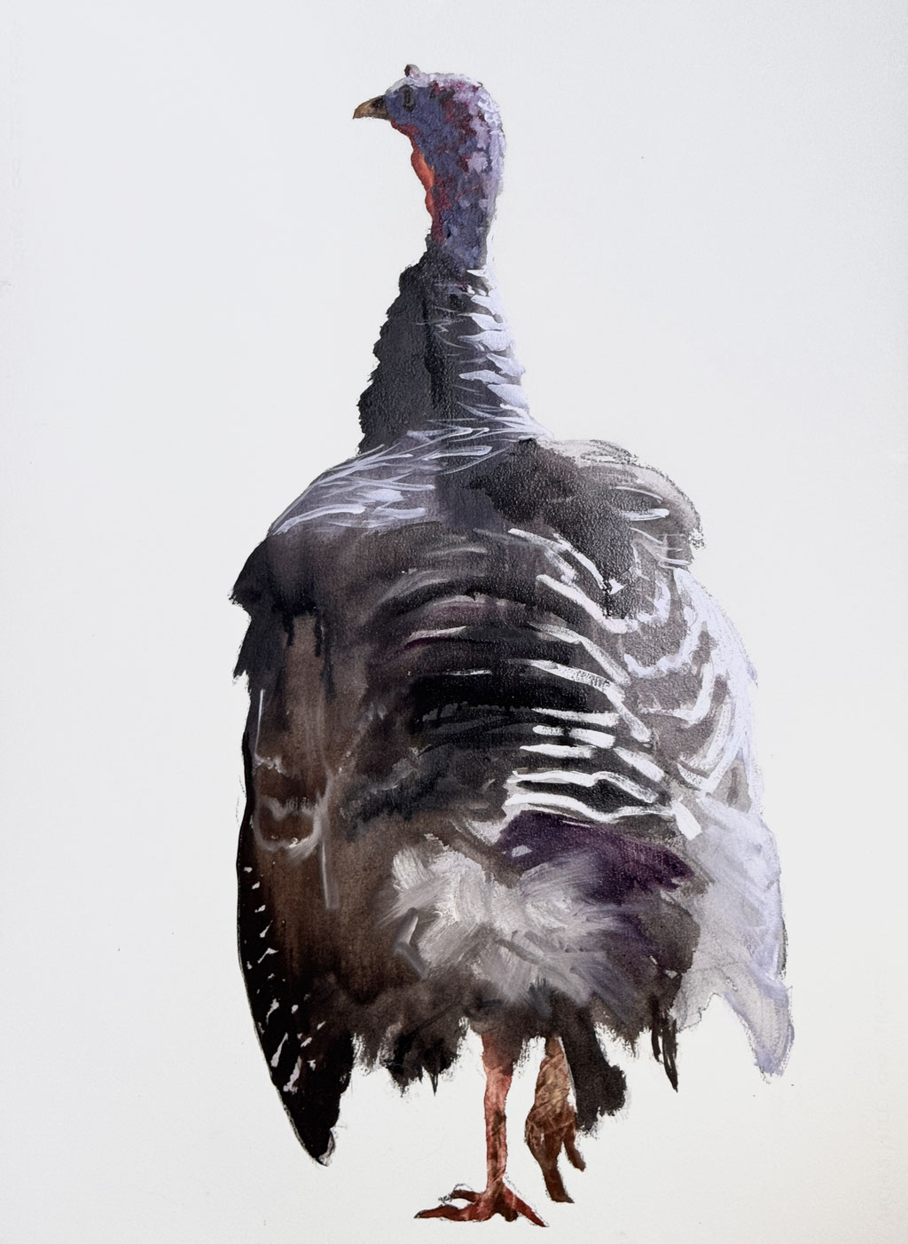 Ragged feathers, oil on paper 76x56cm, sold