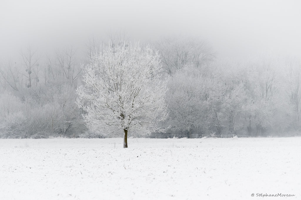 stephane moreau photographe fujifilm chalonnes loire