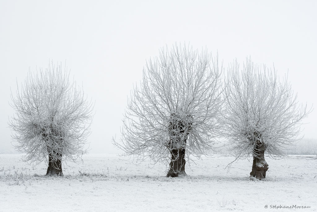 stephane moreau photographe fujifilm chalonnes loire