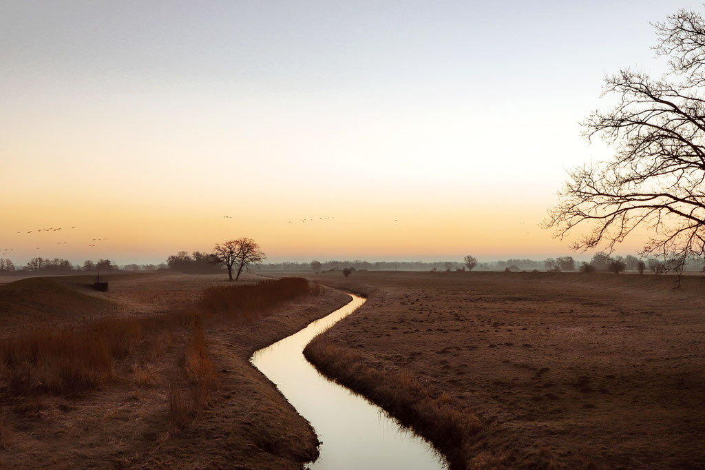 Sonnenaufgang in der Altmark - Prints, Poster, Naturfotografie von Malina Bura