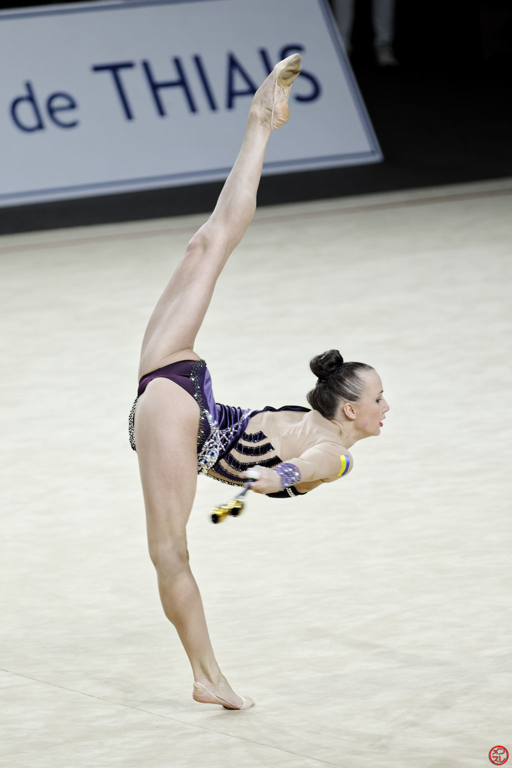 Gymnastique Rythmique. Grand Prix de Thiais 2016.