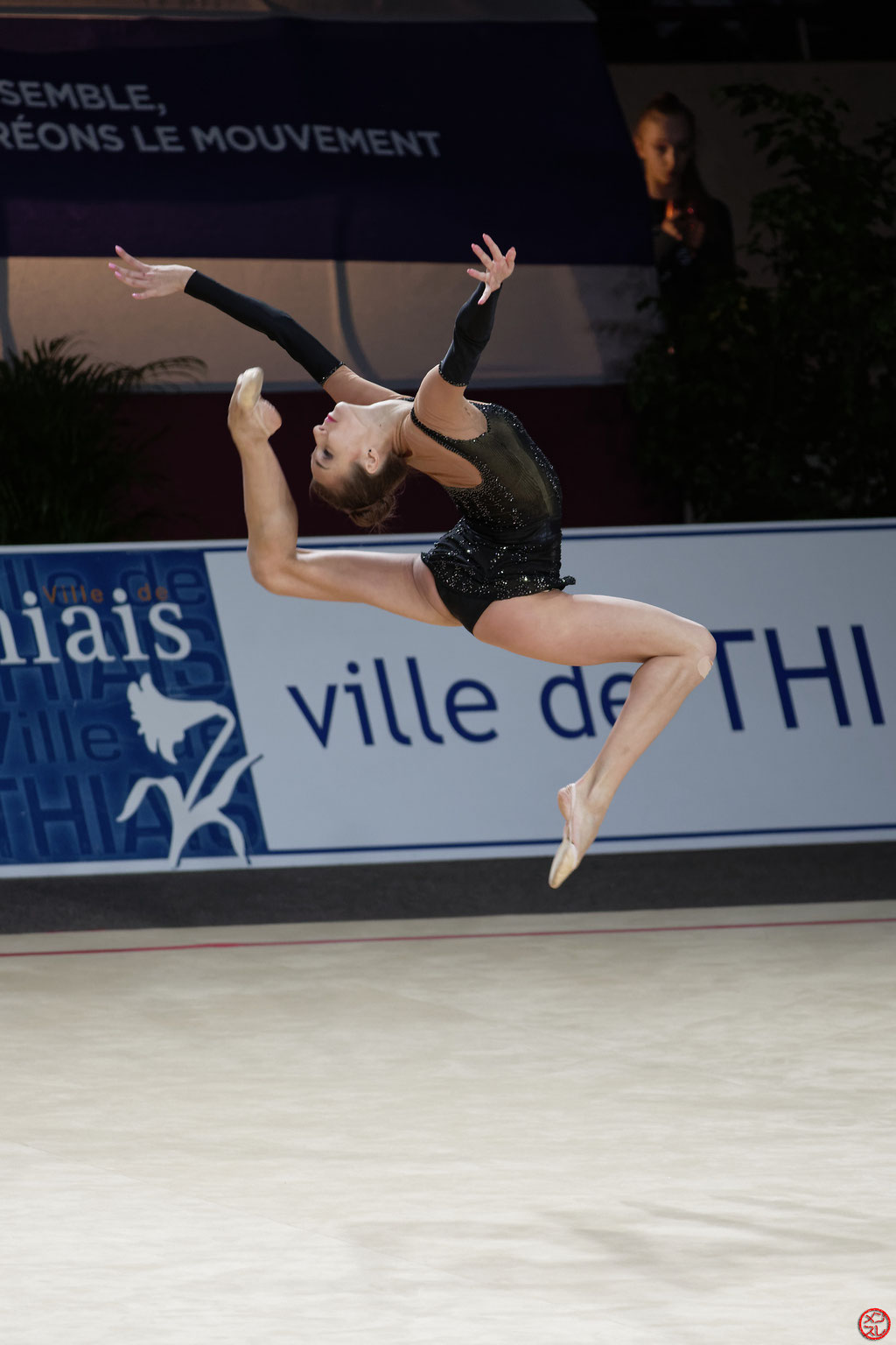 Gymnastique Rythmique. Grand Prix de Thiais 2017.