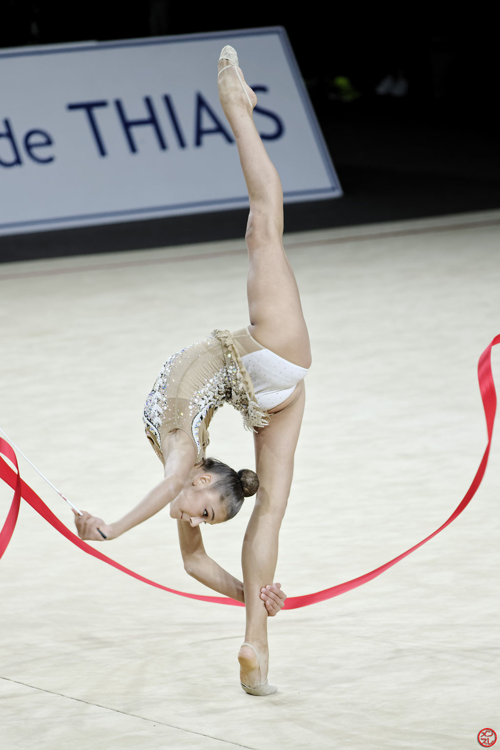 Gymnastique Rythmique. Grand Prix de Thiais 2016.