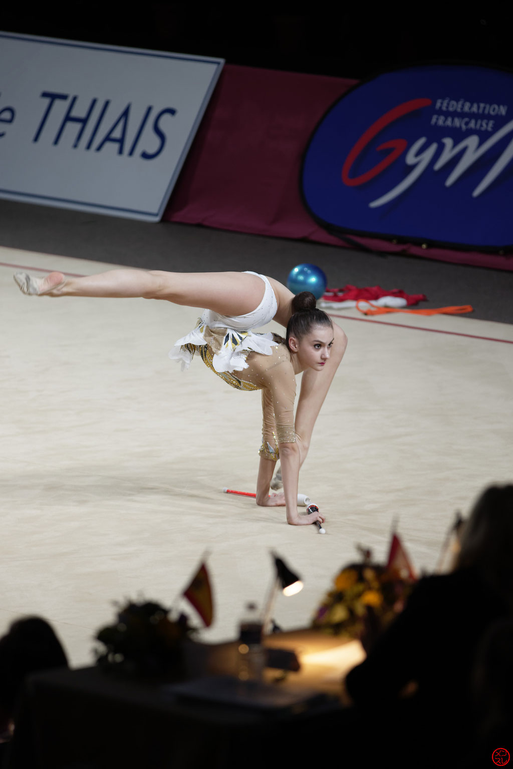 Gymnastique Rythmique. Grand Prix de Thiais 2017.