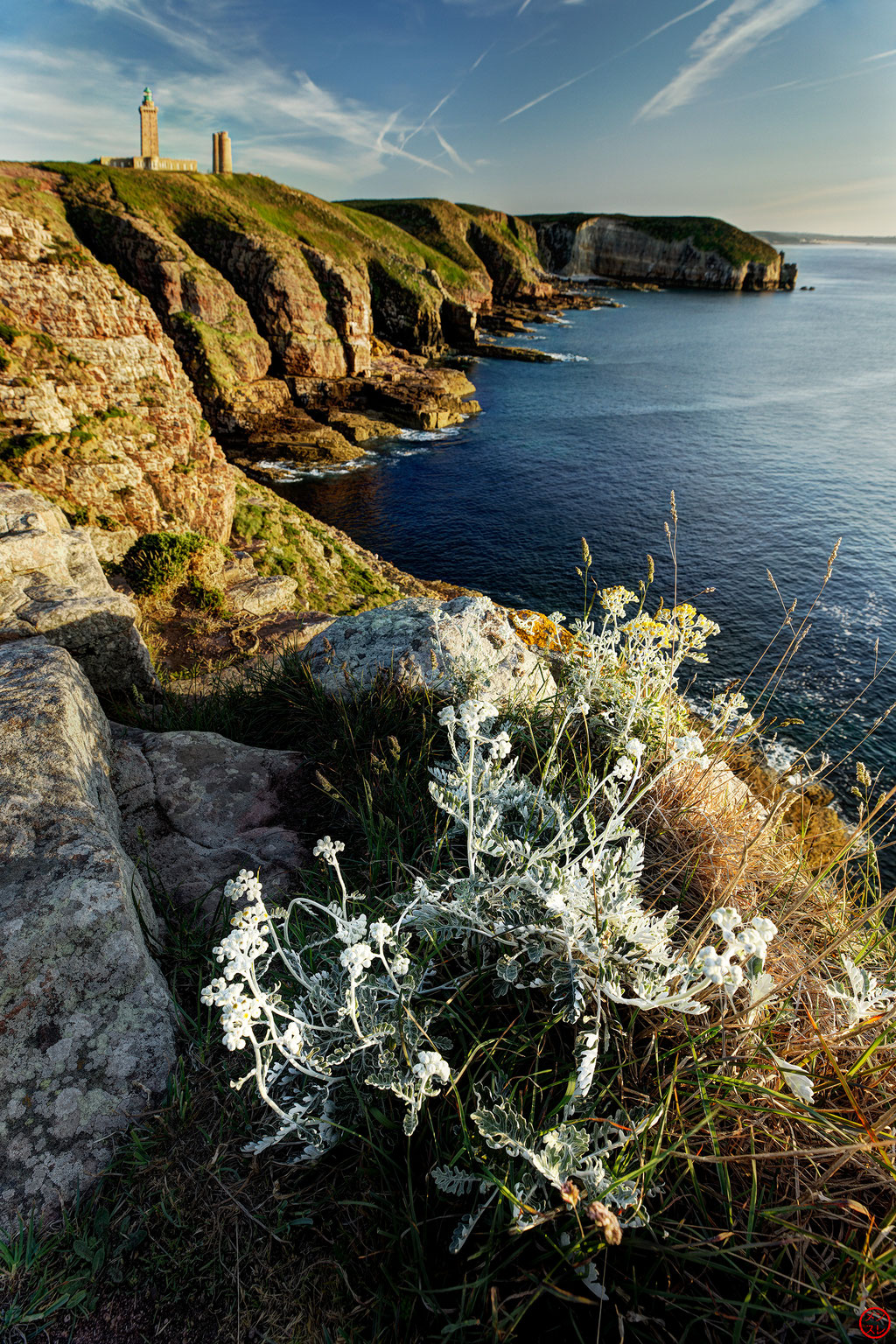 Cap Fréhel, Côte d'Armor, Bretagne, mai 2019