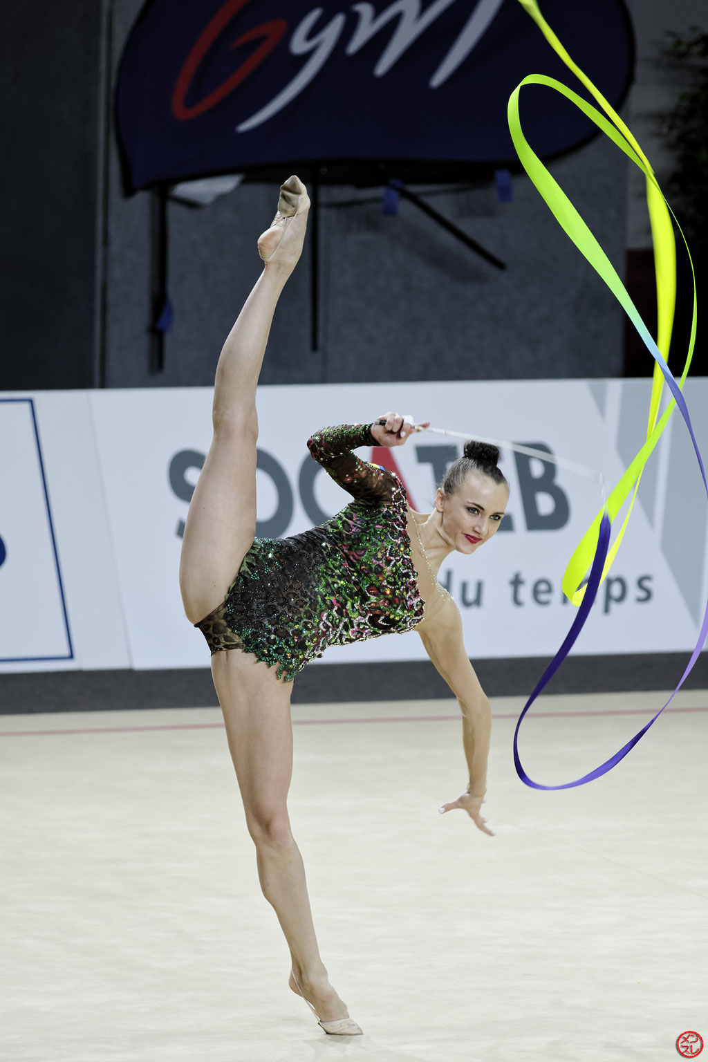 Gymnastique Rythmique. Grand Prix de Thiais 2016.