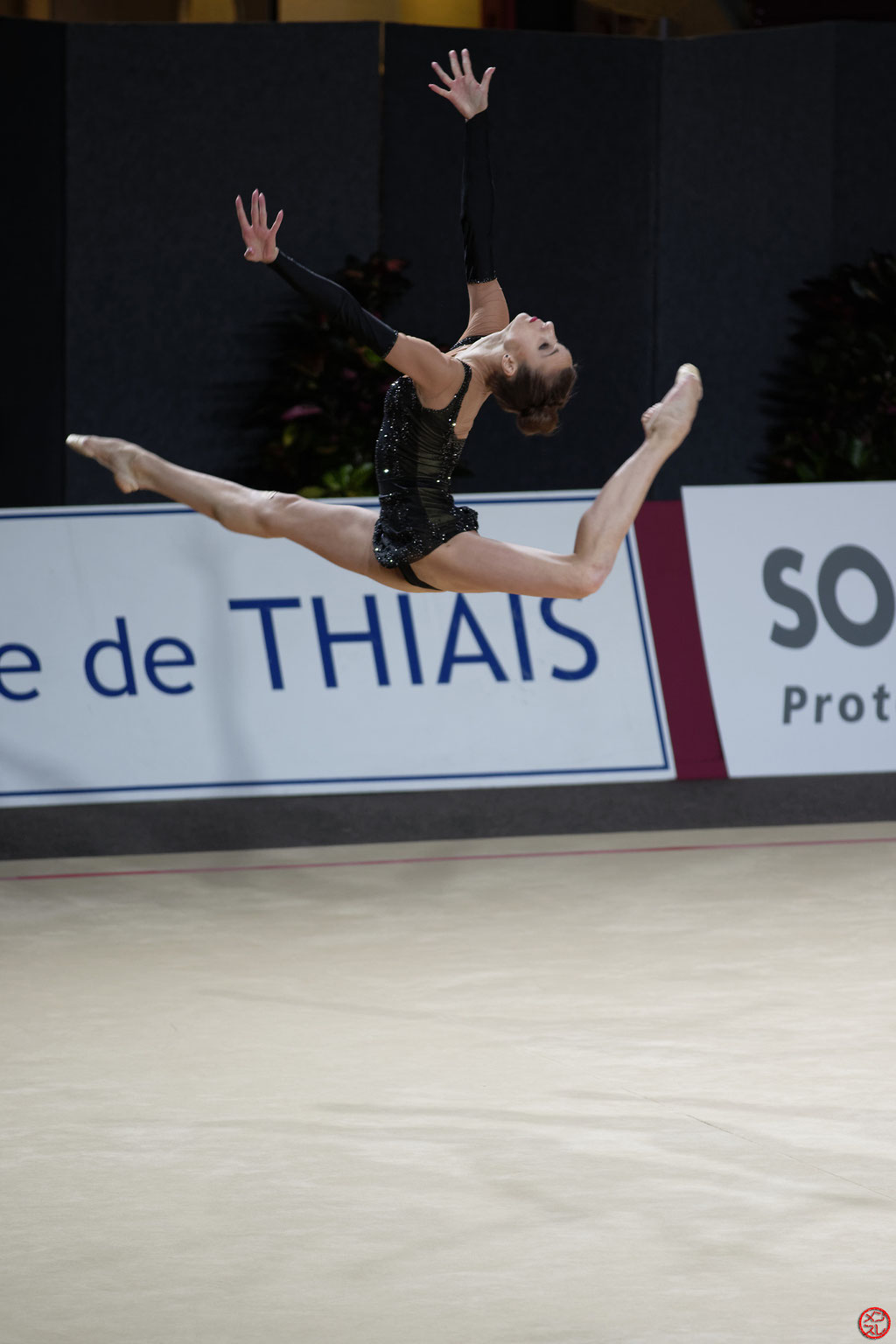 Gymnastique Rythmique. Grand Prix de Thiais 2017.