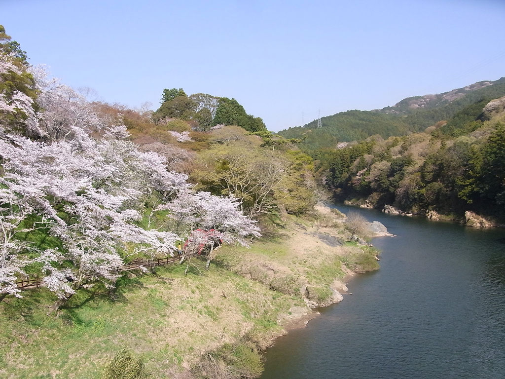 桜淵公園