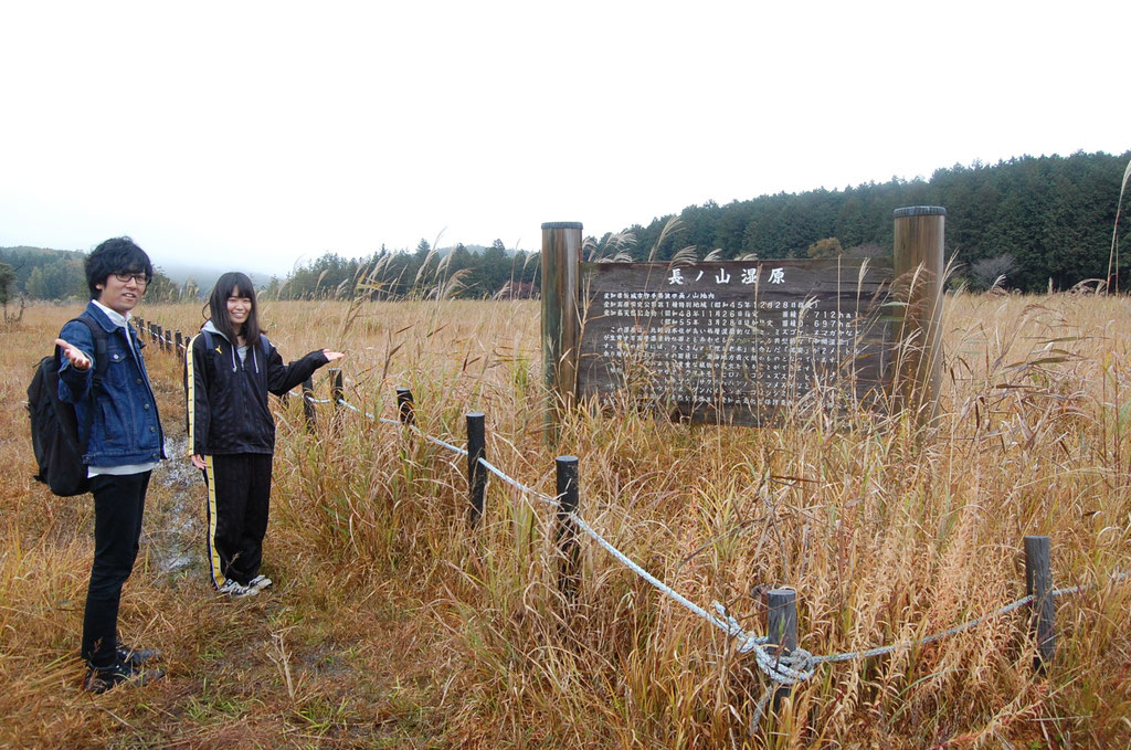 長の山湿原