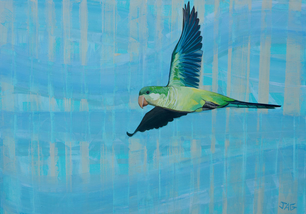 'Free Bird' acrylic on canvas, 2021, 70 x 50cm - SOLD