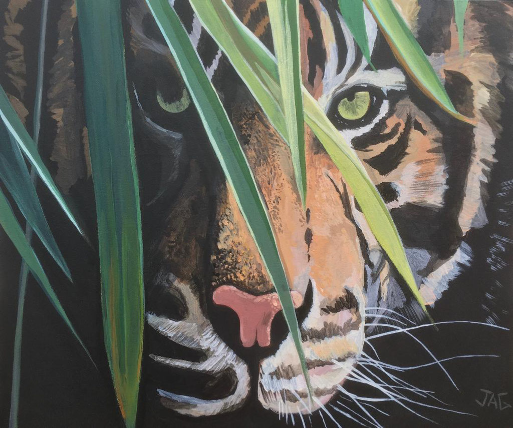 'Eye of the Tiger'  acrylic on canvas, 2019 - SOLD