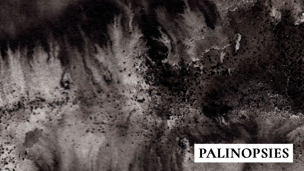 Palinopsies