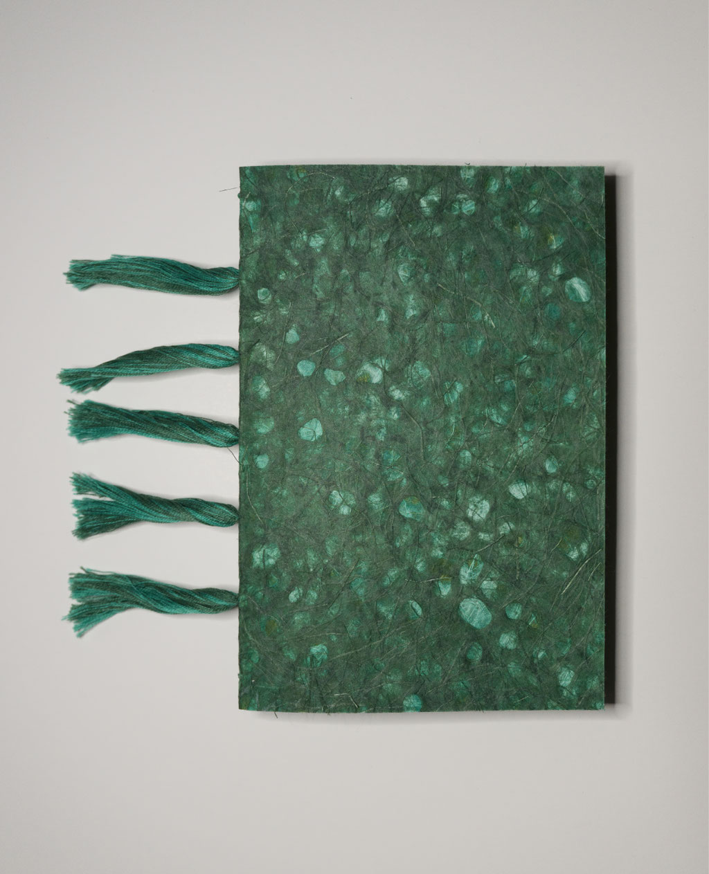 Buch Vorderdeckel Ansicht, Buchrücken mit  fünf Bündel Stickgarn Fransen bestückt (98 Buchseiten mit Tusche bemalt) 