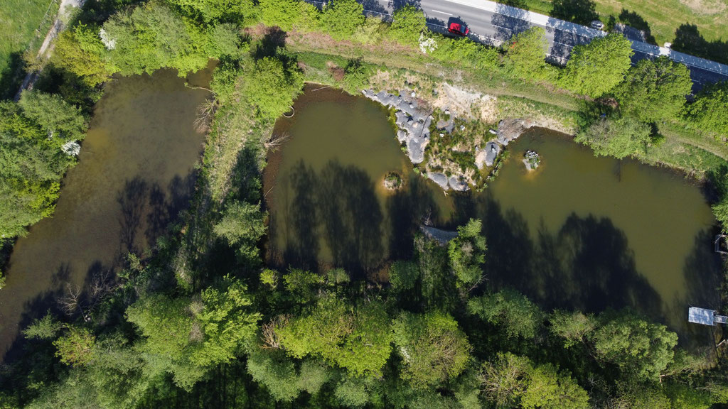 Die Teiche im Mai 2025