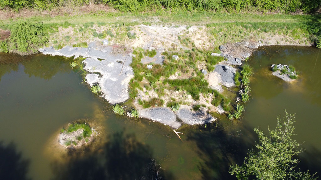 Flachwasserzone im Mai 2025