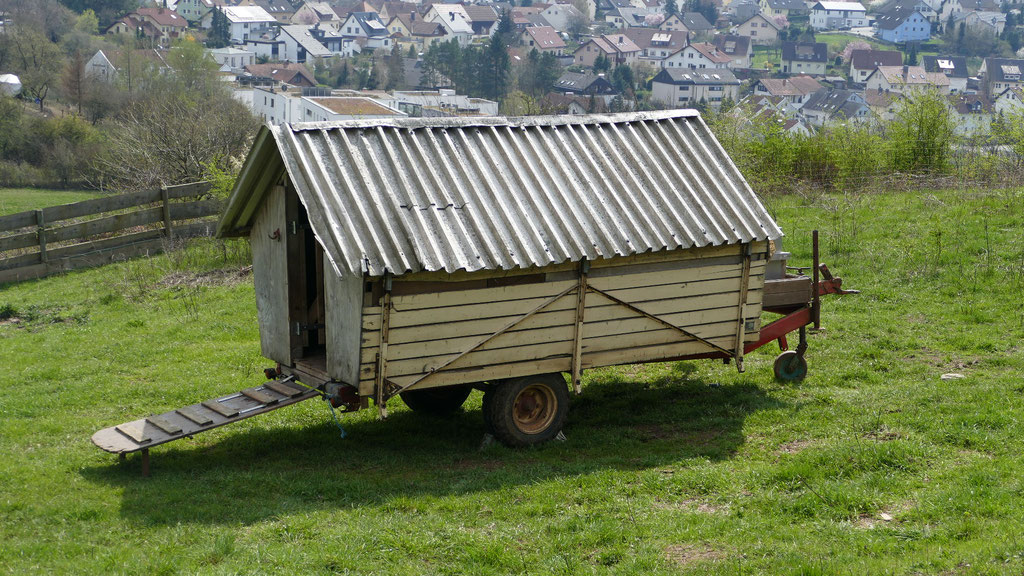 Der erste Ziegenwagen