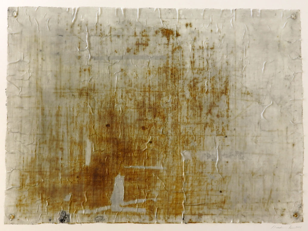 Peel of Print 4 by Daisuke Abe