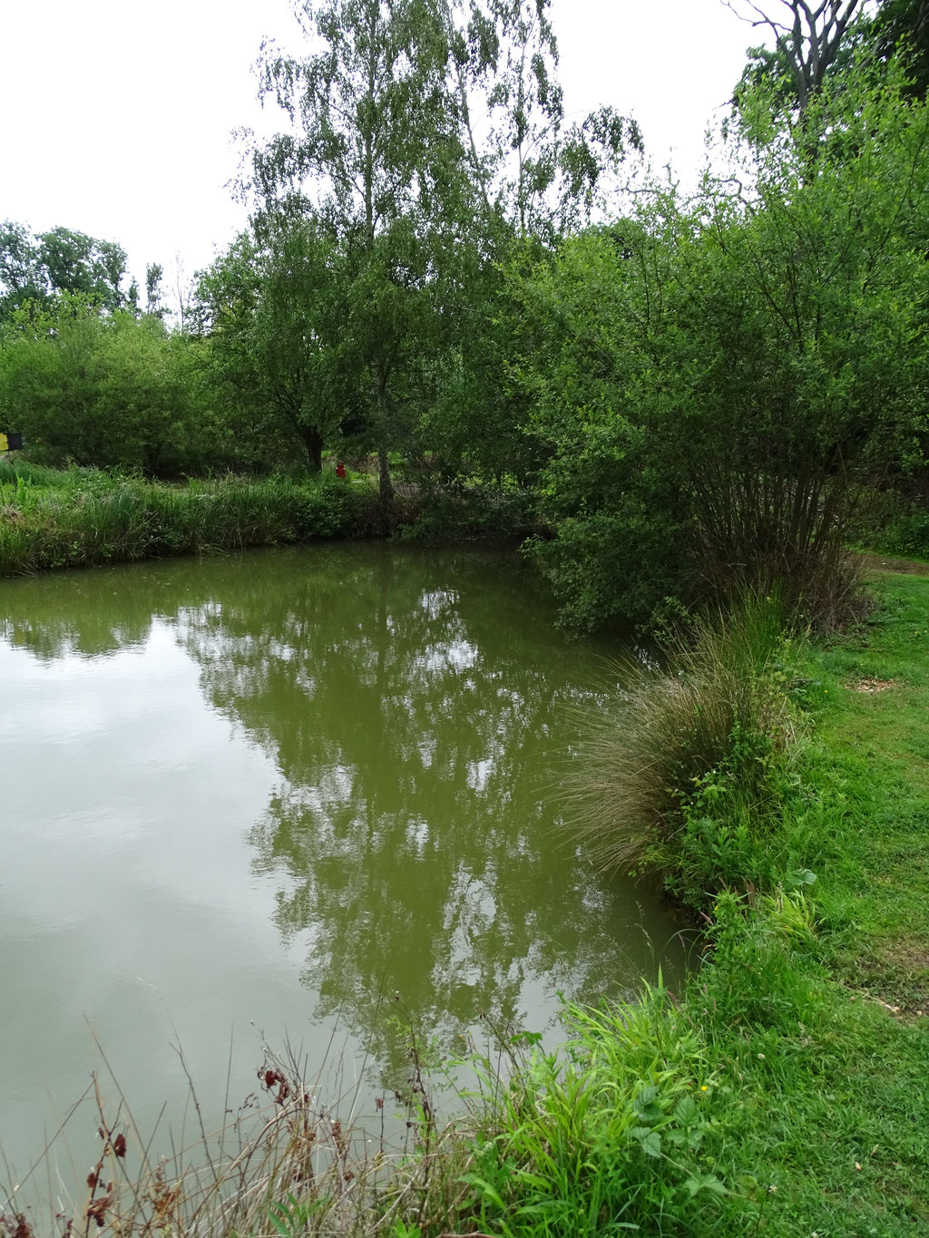 'Carp Corner' Lake 1 (photo by Steve Self)