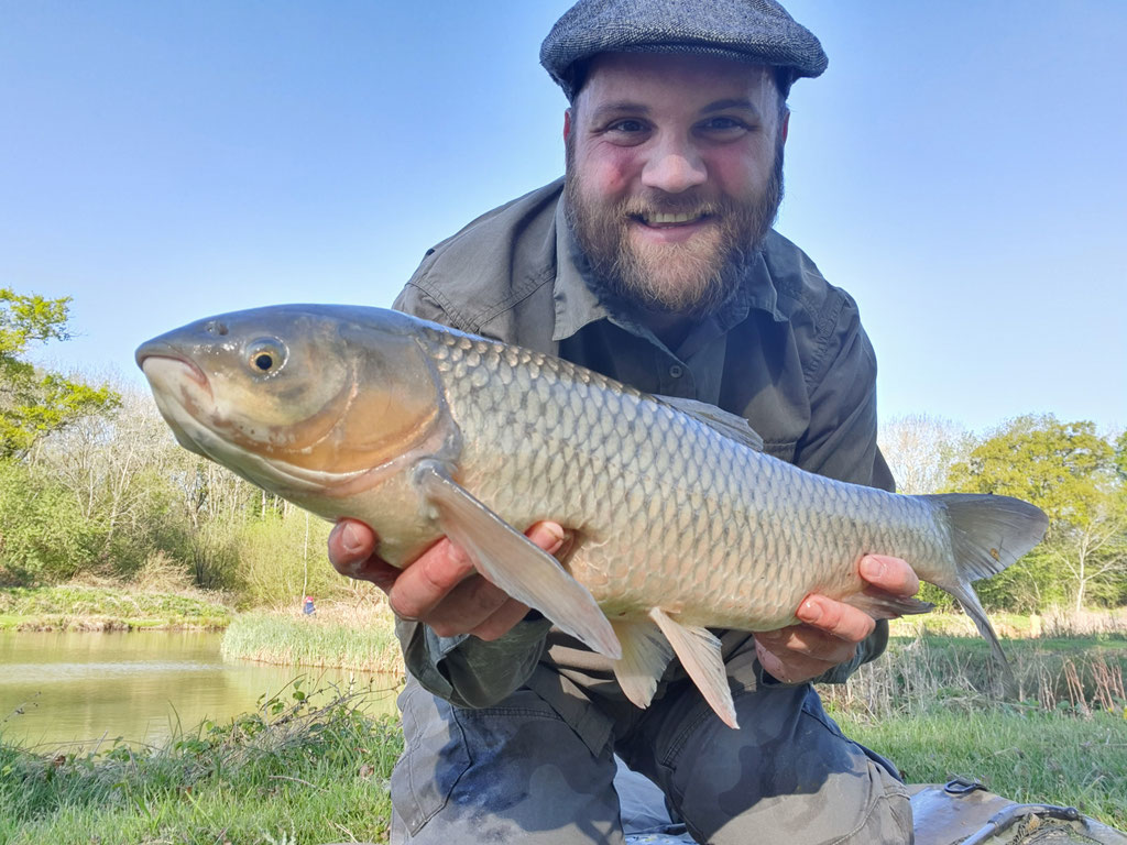 Grass Carp