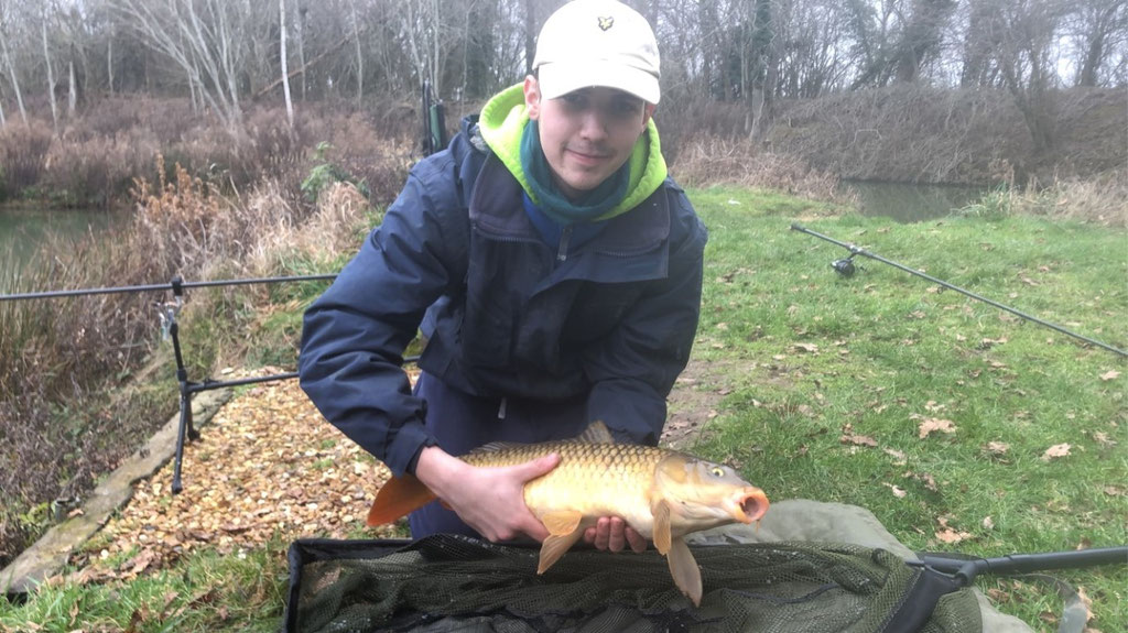 Common Carp