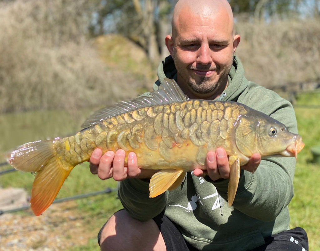 Mirror Carp