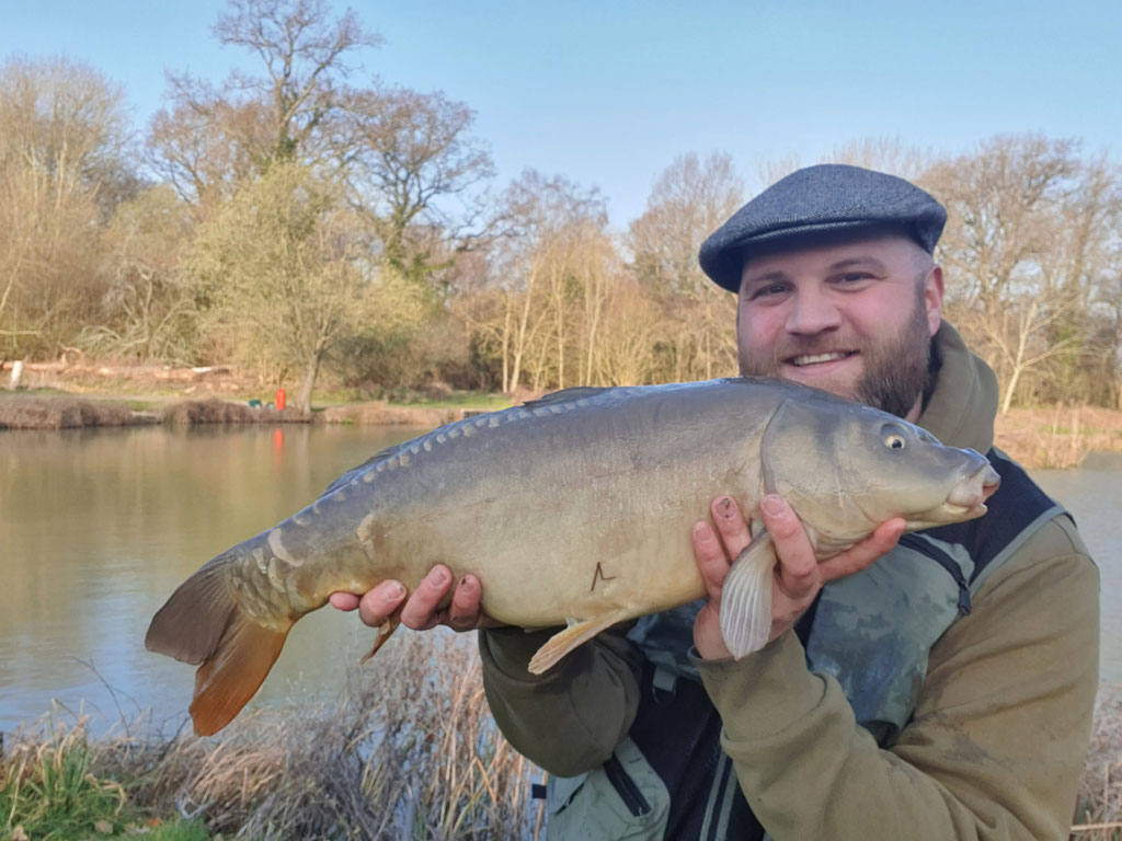 Mirror Carp