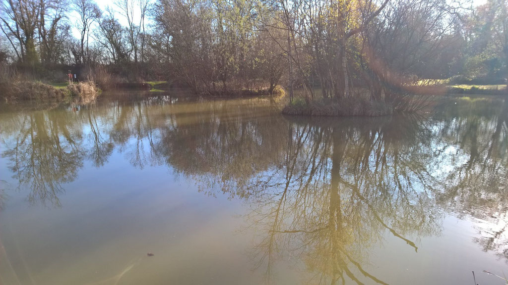 Picture provided by Gareth Bulbeck of the swim he caught 9 carp and 132 silver fish from on dead maggot