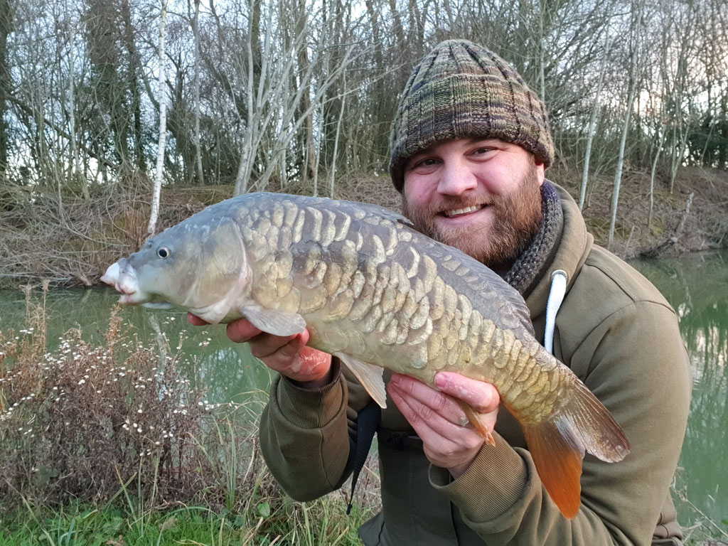 Fully Scaled Mirror Carp