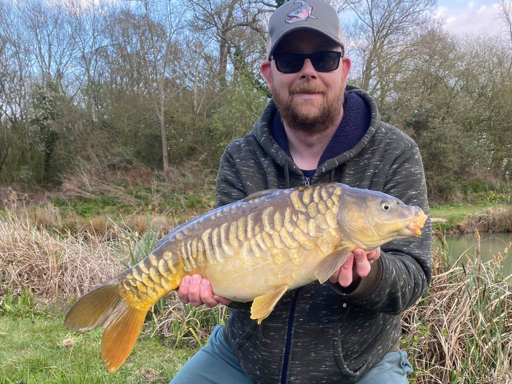 Mirror Carp