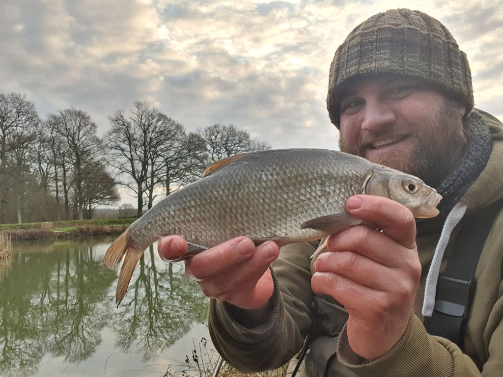 Bream/Roach Hybrid