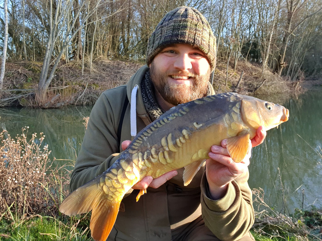 Mirror Carp