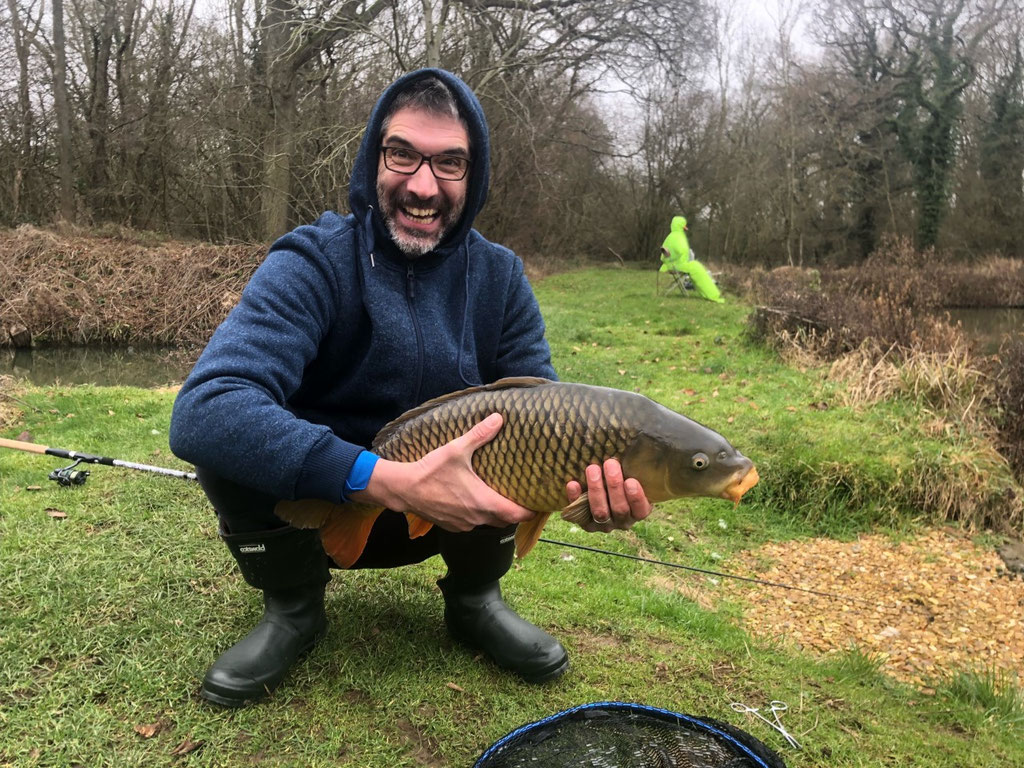 Common Carp