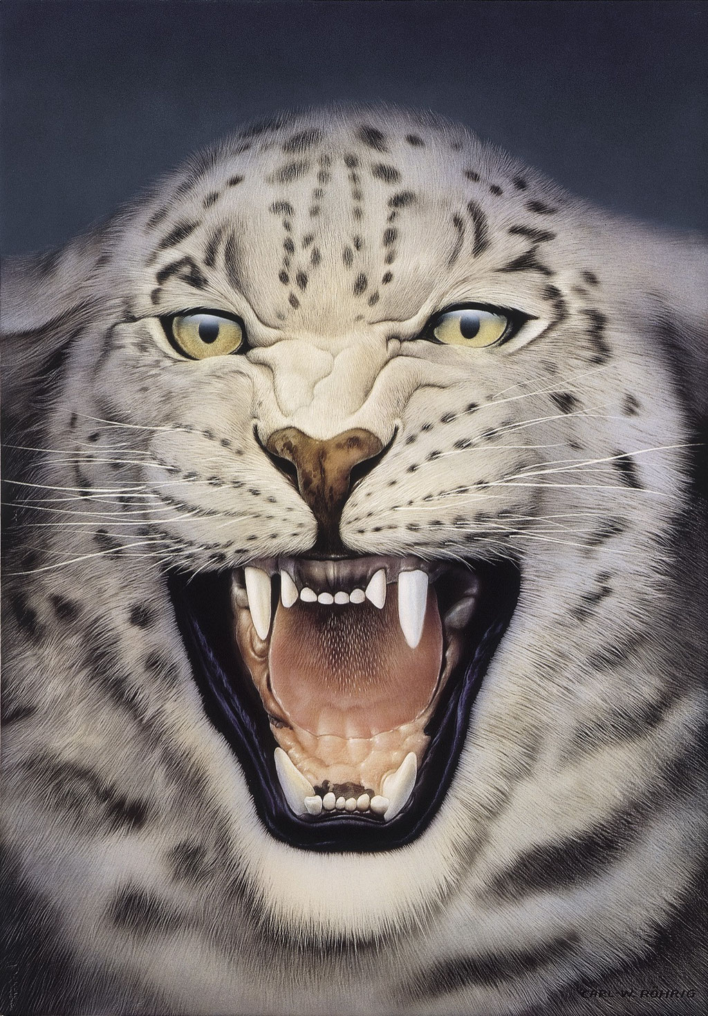 Der Schneeleopard - Carl-W. Röhrig