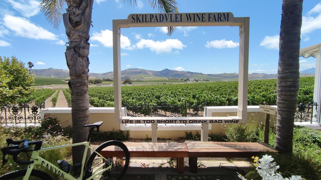 Cycling in the Stellenbosch Winelands 2026