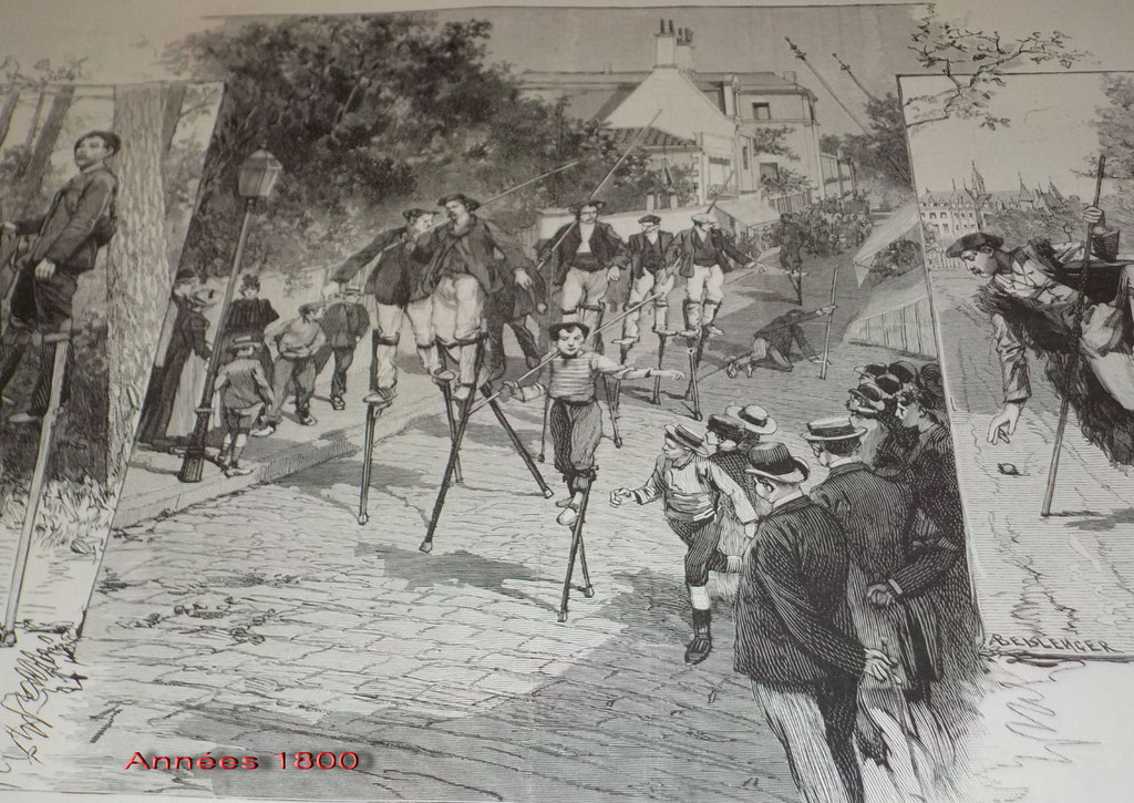 LES ECHASSES DANS LES LANDES 1889