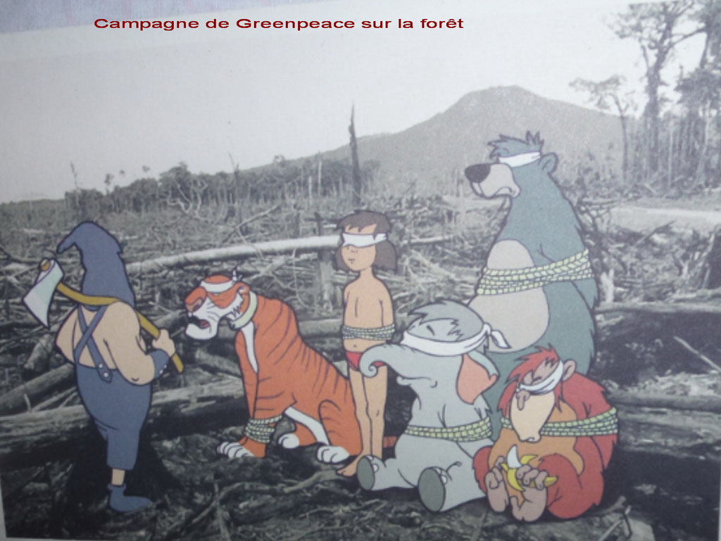 campagne de Greenpeace contre la déforestation 