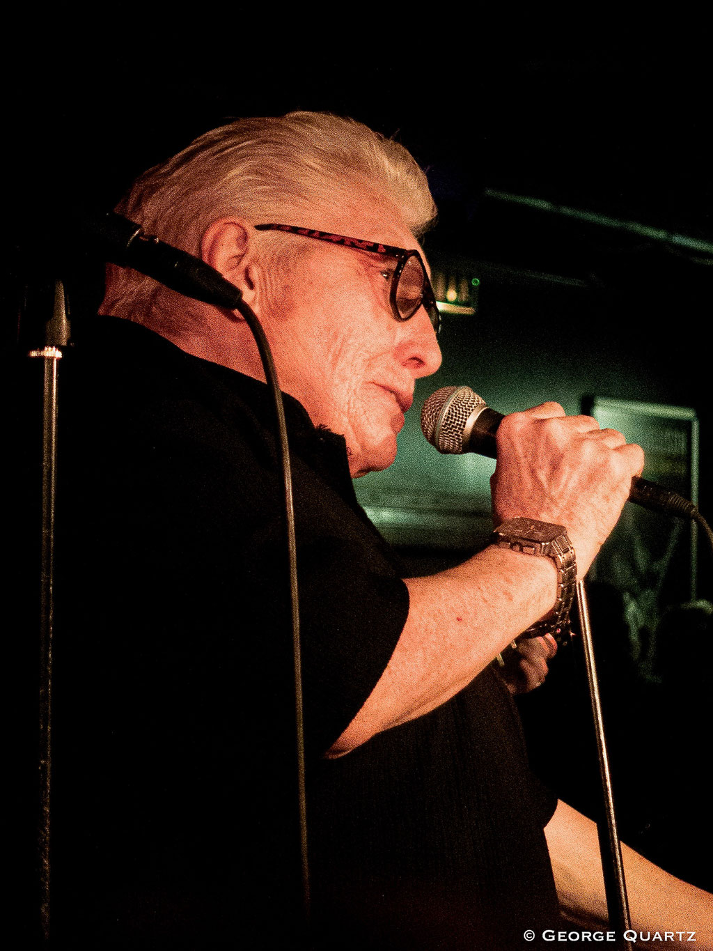 the Hamburg Blues Band, Chris Farlowe, Krissy Mathews